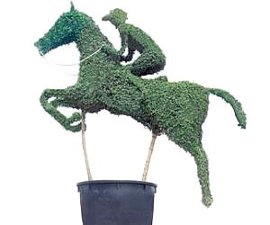 TOPIARY ART
